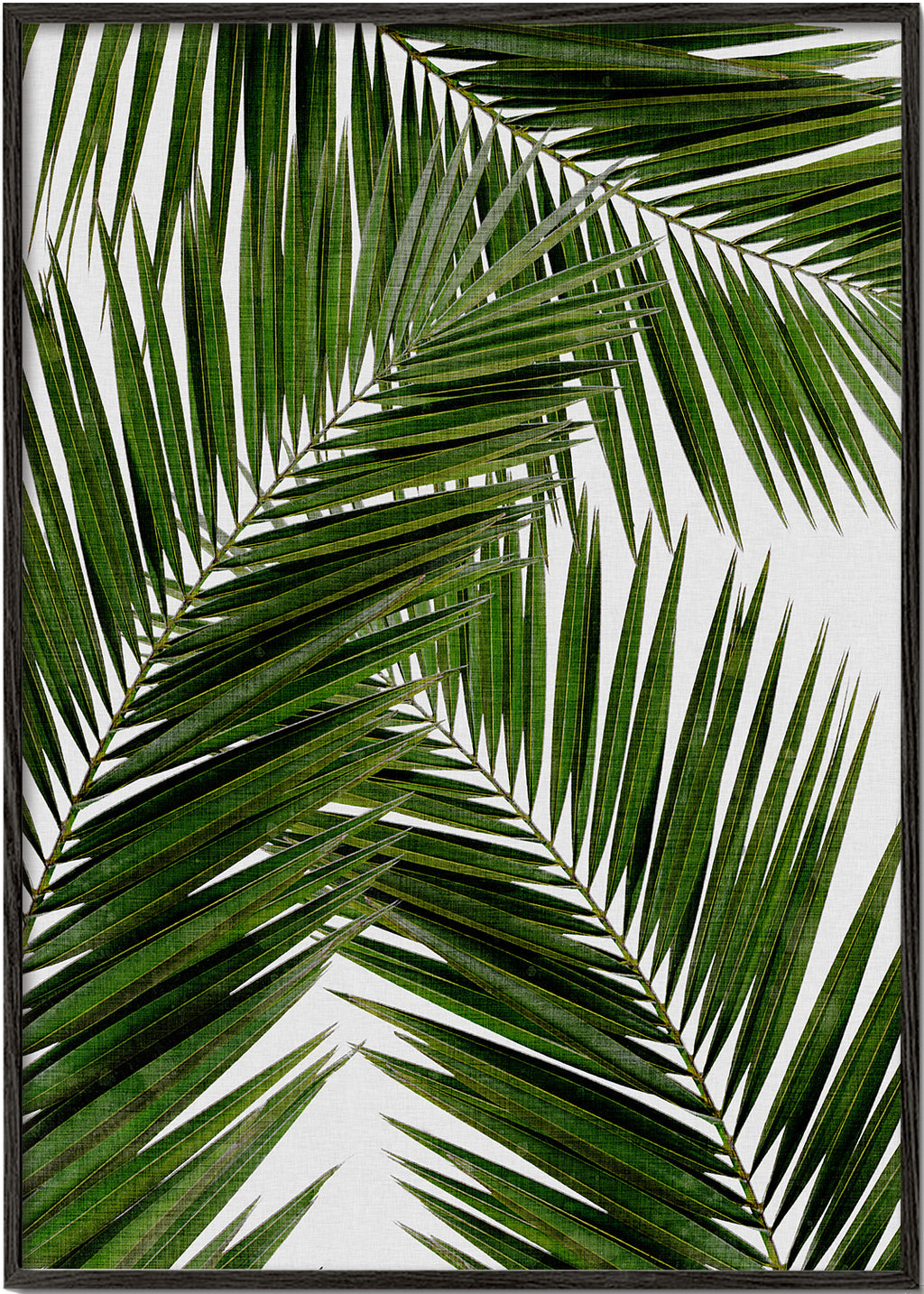 Botanisk poster palmblad