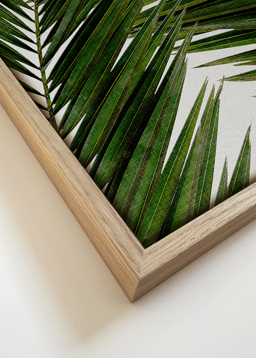 Botanisk poster palmblad