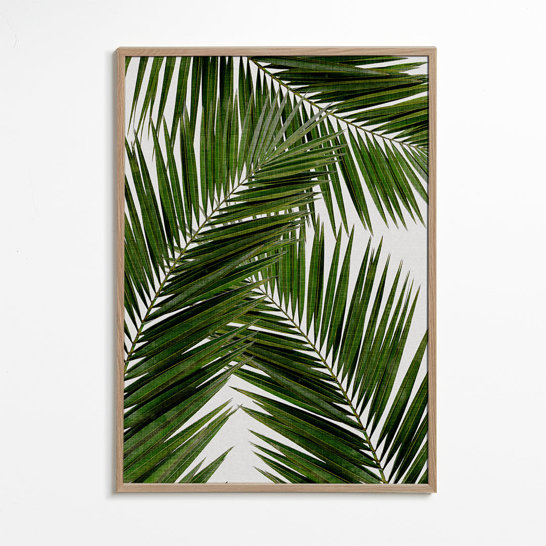 Botanisk poster palmblad