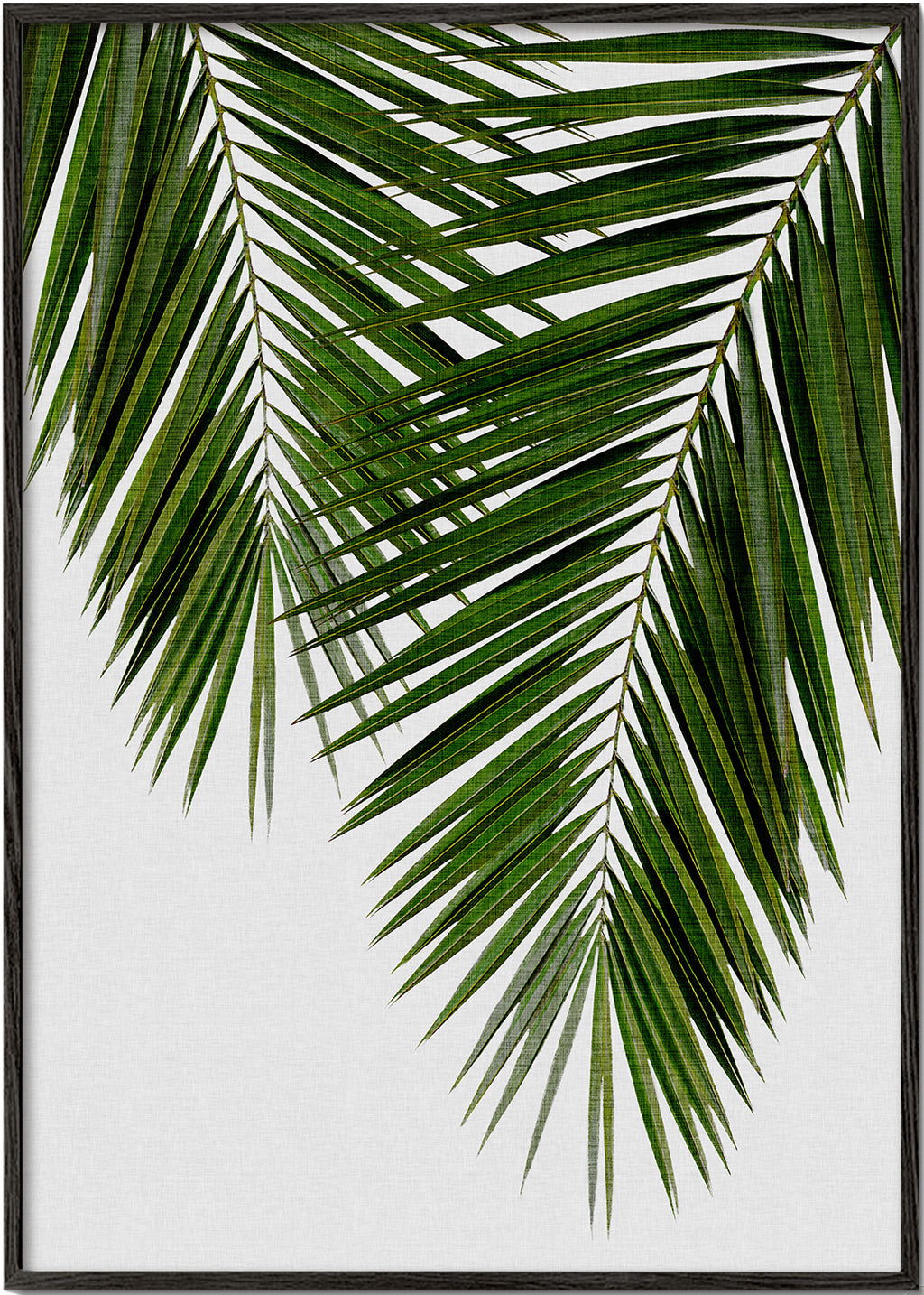 Botanisk tavla med palmblad