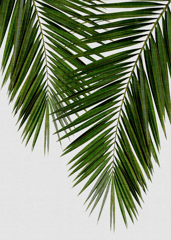 Botanisk tavla med palmblad