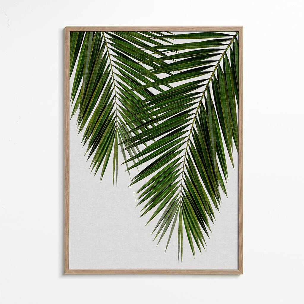 Botanisk tavla med palmblad