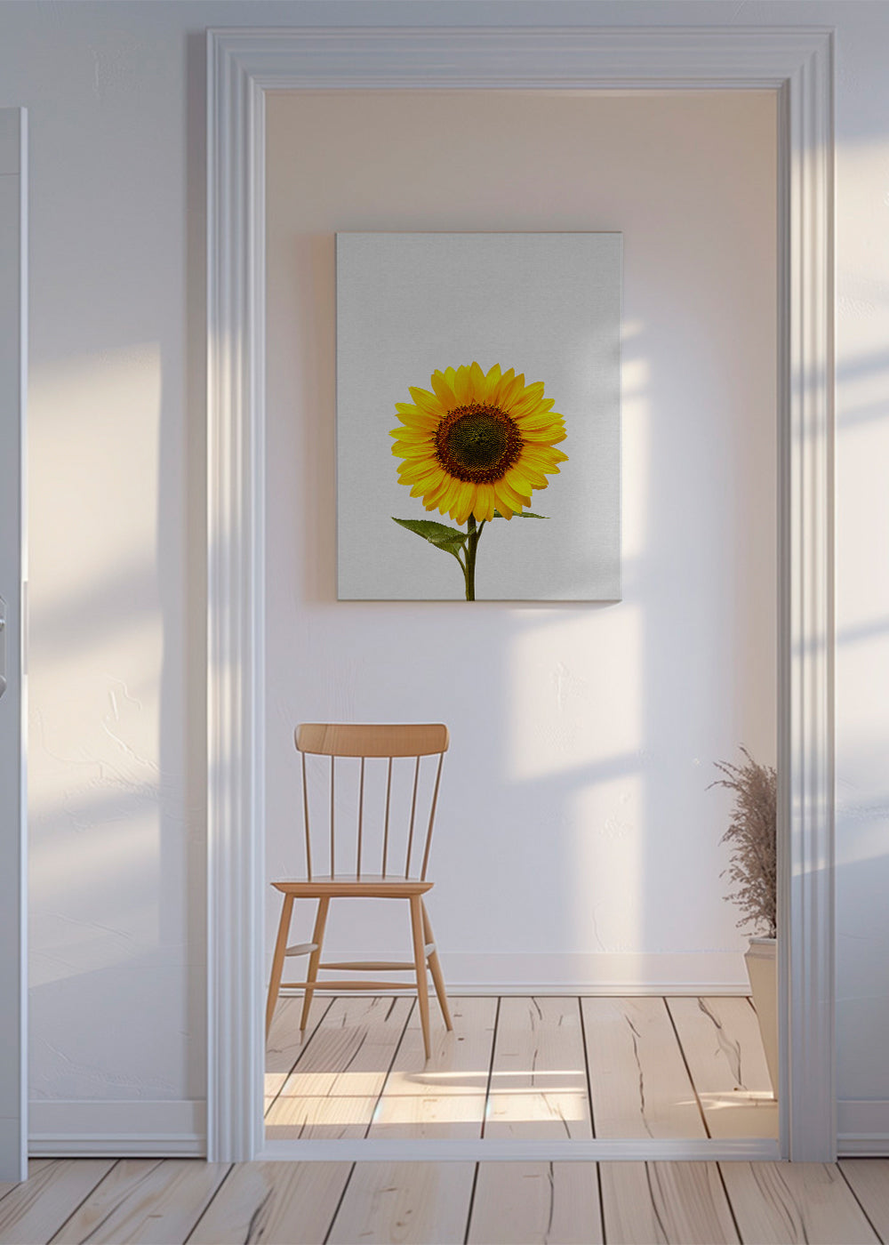 Botanisk poster: isolerad solros