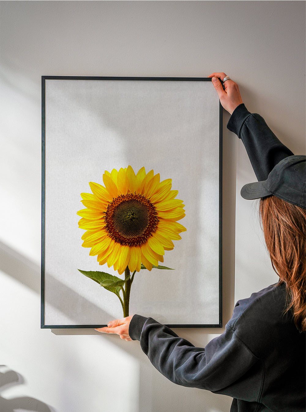 Botanisk poster: isolerad solros