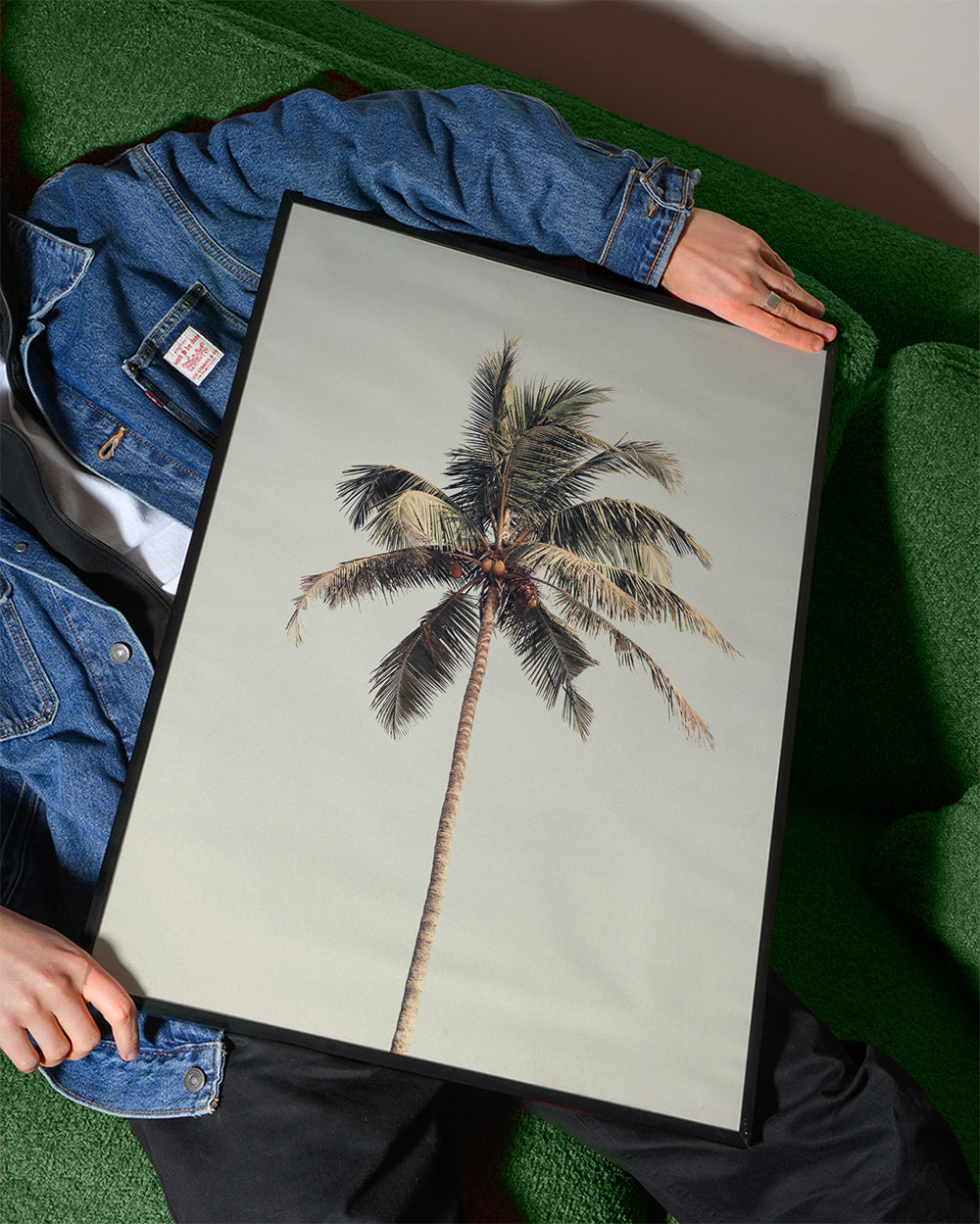 Landskapskonst: ensam palmfotografi