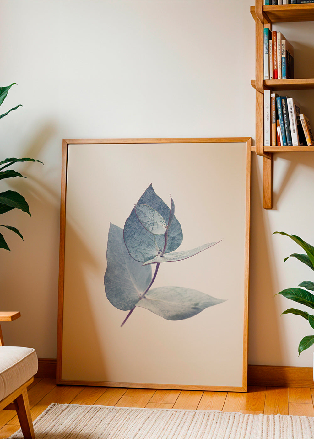 Botanisk poster: eukalyptusblad i mjuk blå ton