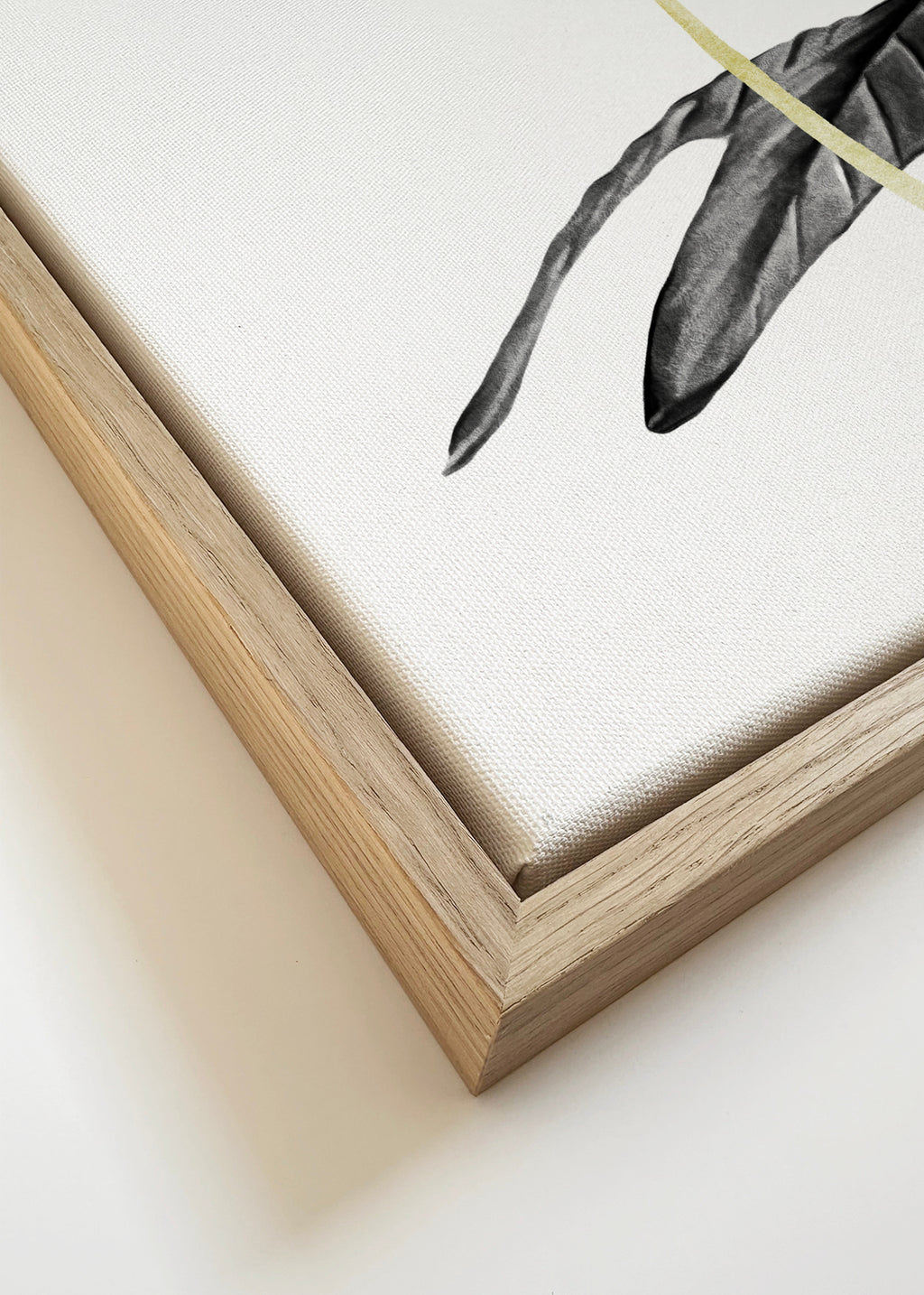Bird of Paradise Plant Black, White and Gold 01 - Framed canvas detail