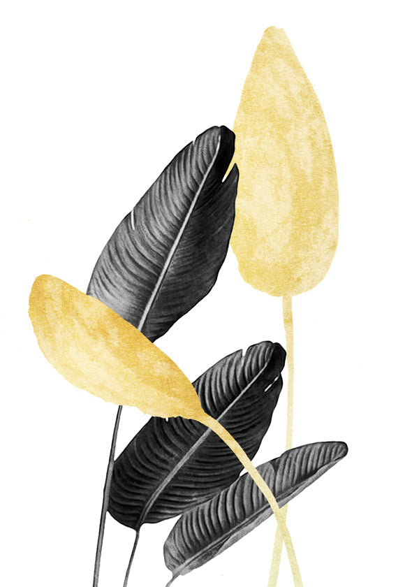 Botanisk poster svarta blad med guld