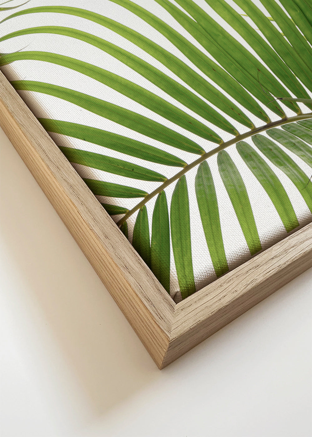 Botanisk poster med palmblad