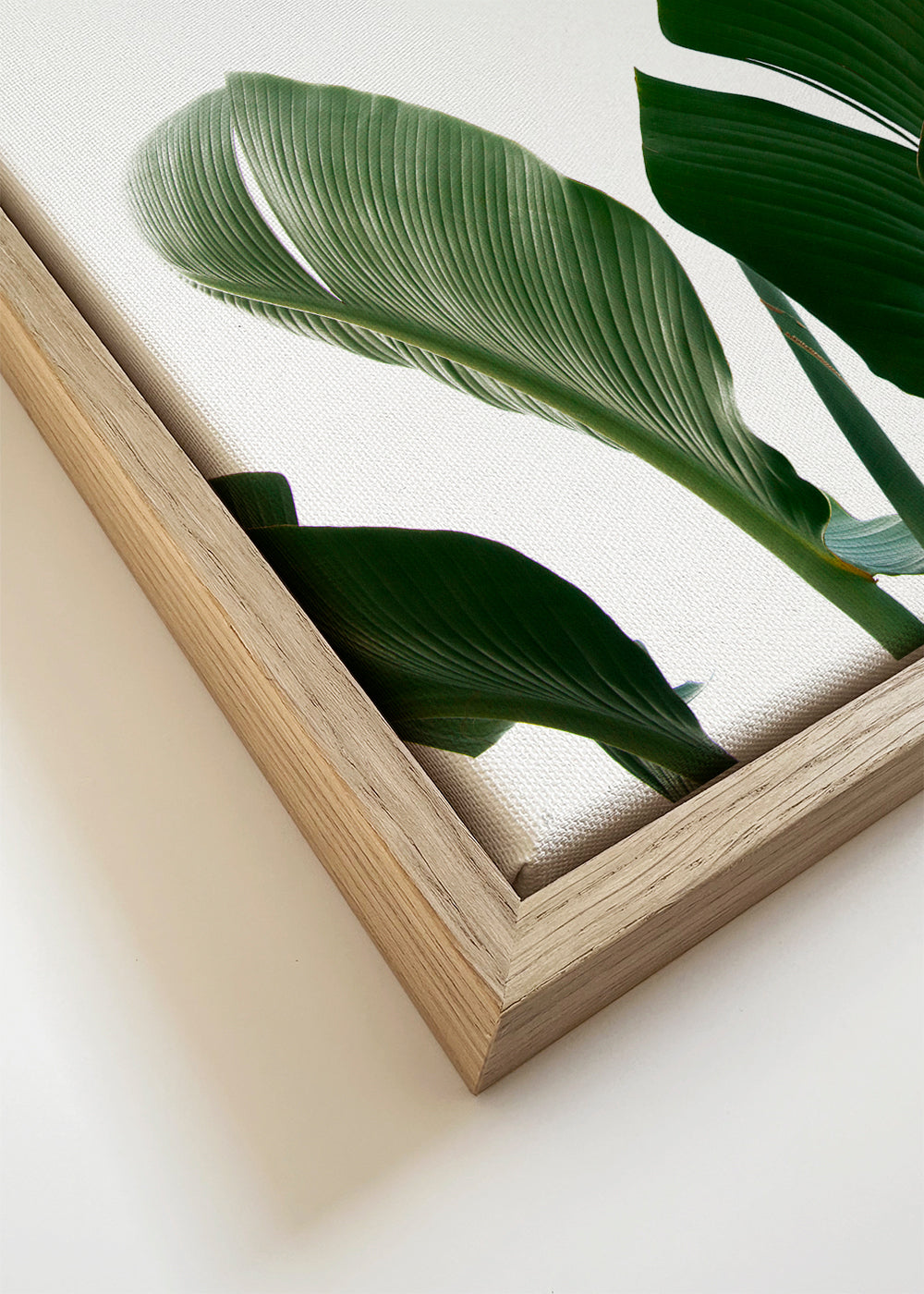 Botanisk poster palmblad