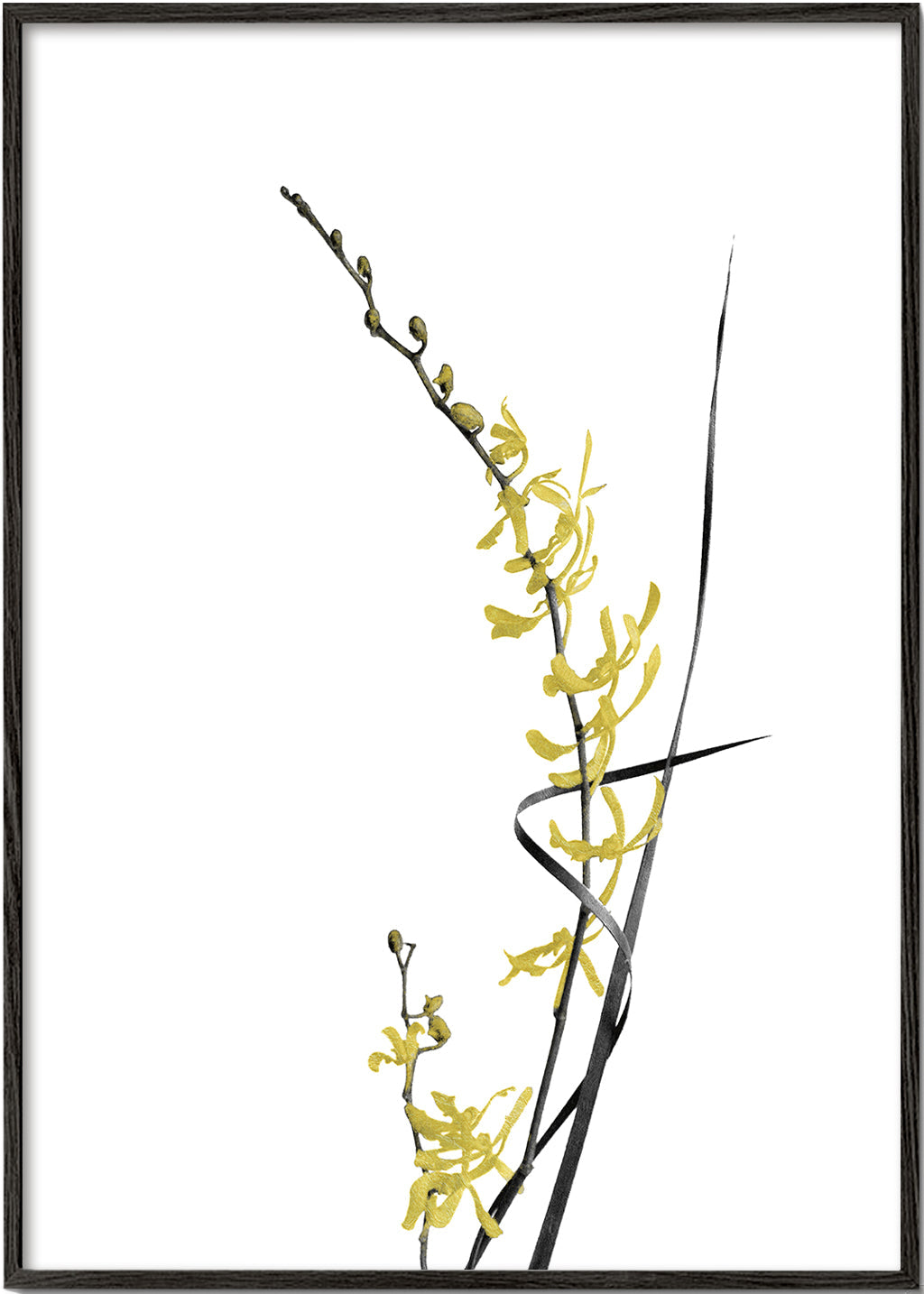 Botanisk poster: gul orkidé minimal