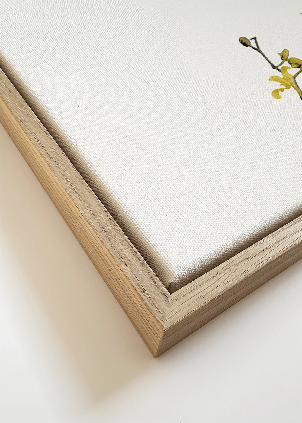 Botanisk poster: gul orkidé minimal