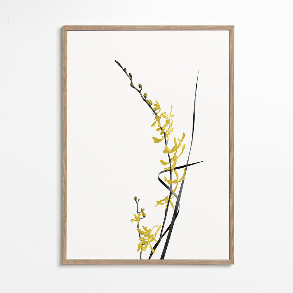 Botanisk poster: gul orkidé minimal