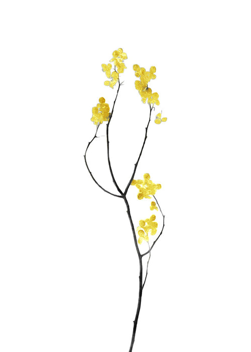 Botanisk poster med gul kvist