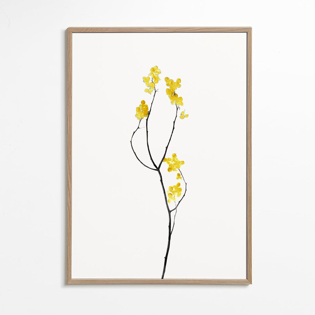 Botanisk poster med gul kvist