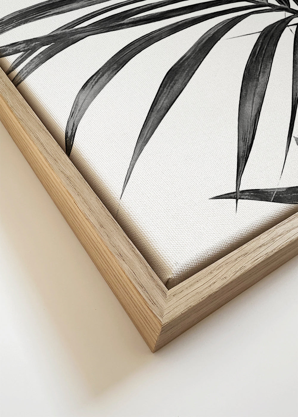 Botanisk poster palmer i svartvitt
