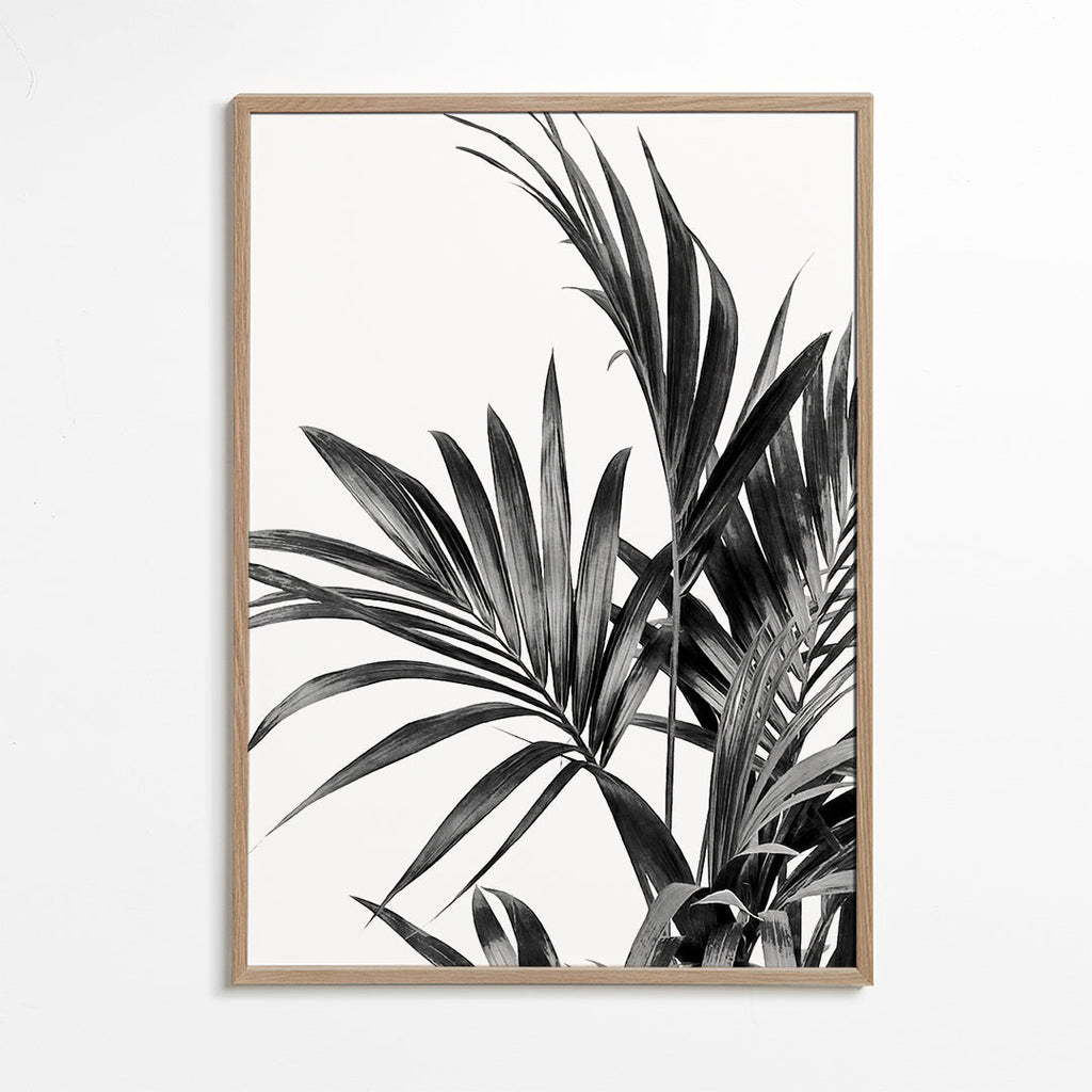 Botanisk poster palmer i svartvitt
