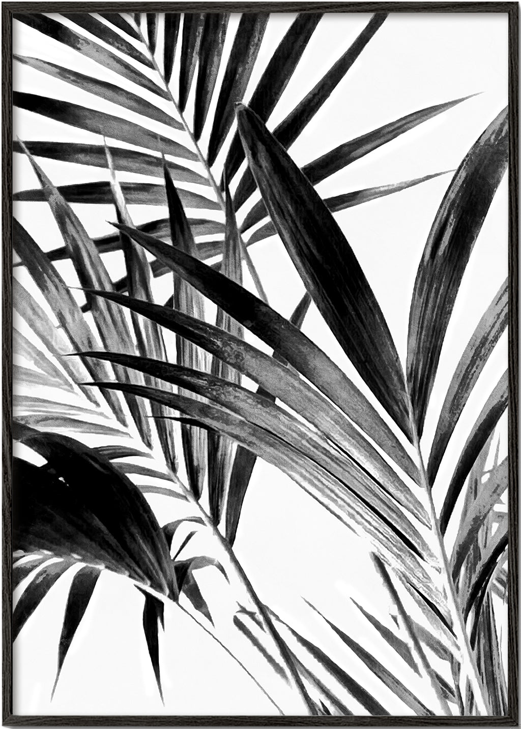Botanisk poster palmblad i svartvitt