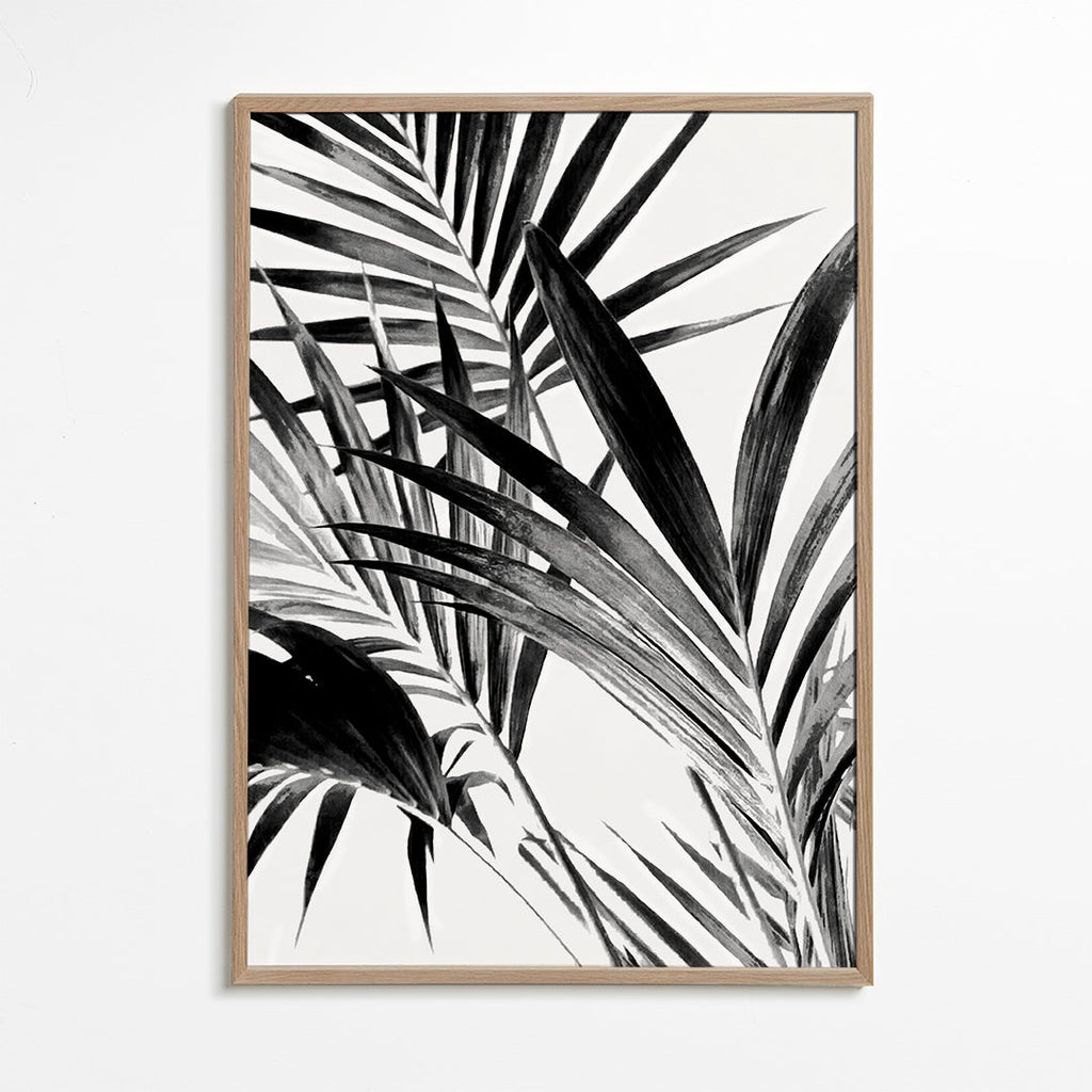 Botanisk poster palmblad i svartvitt
