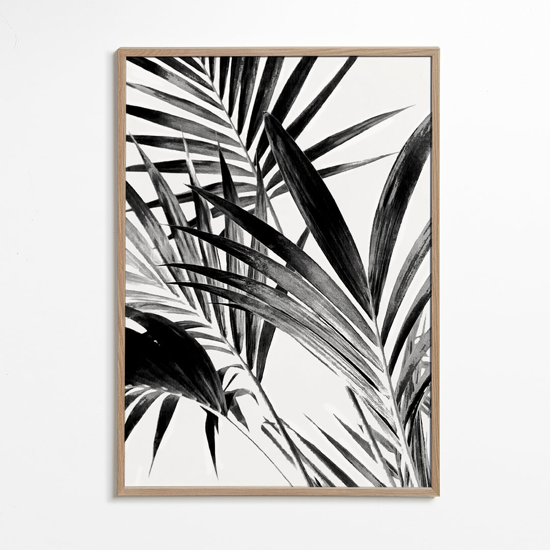 Botanisk poster palmblad i svartvitt