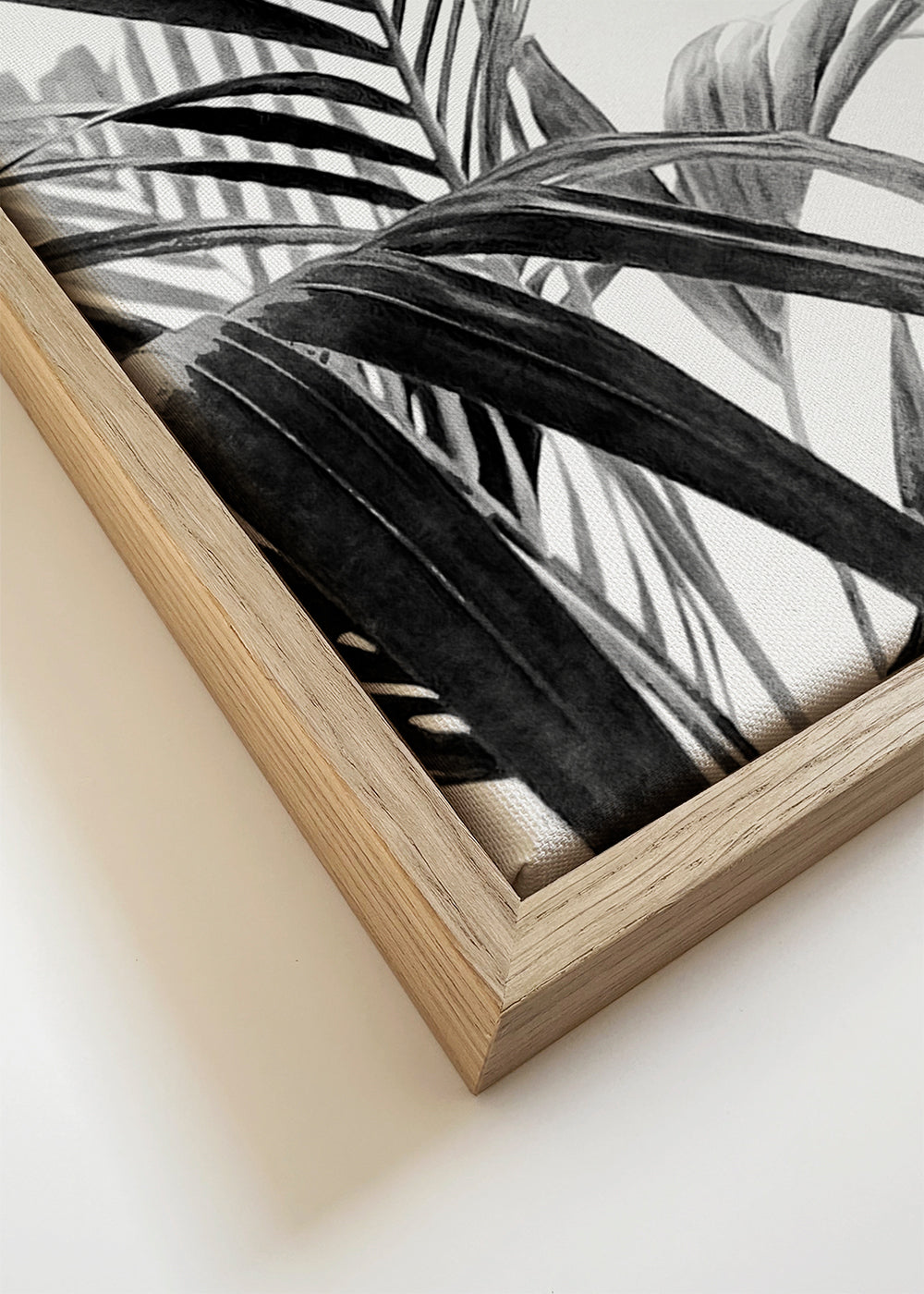 Botanisk poster: palmblad i svartvitt