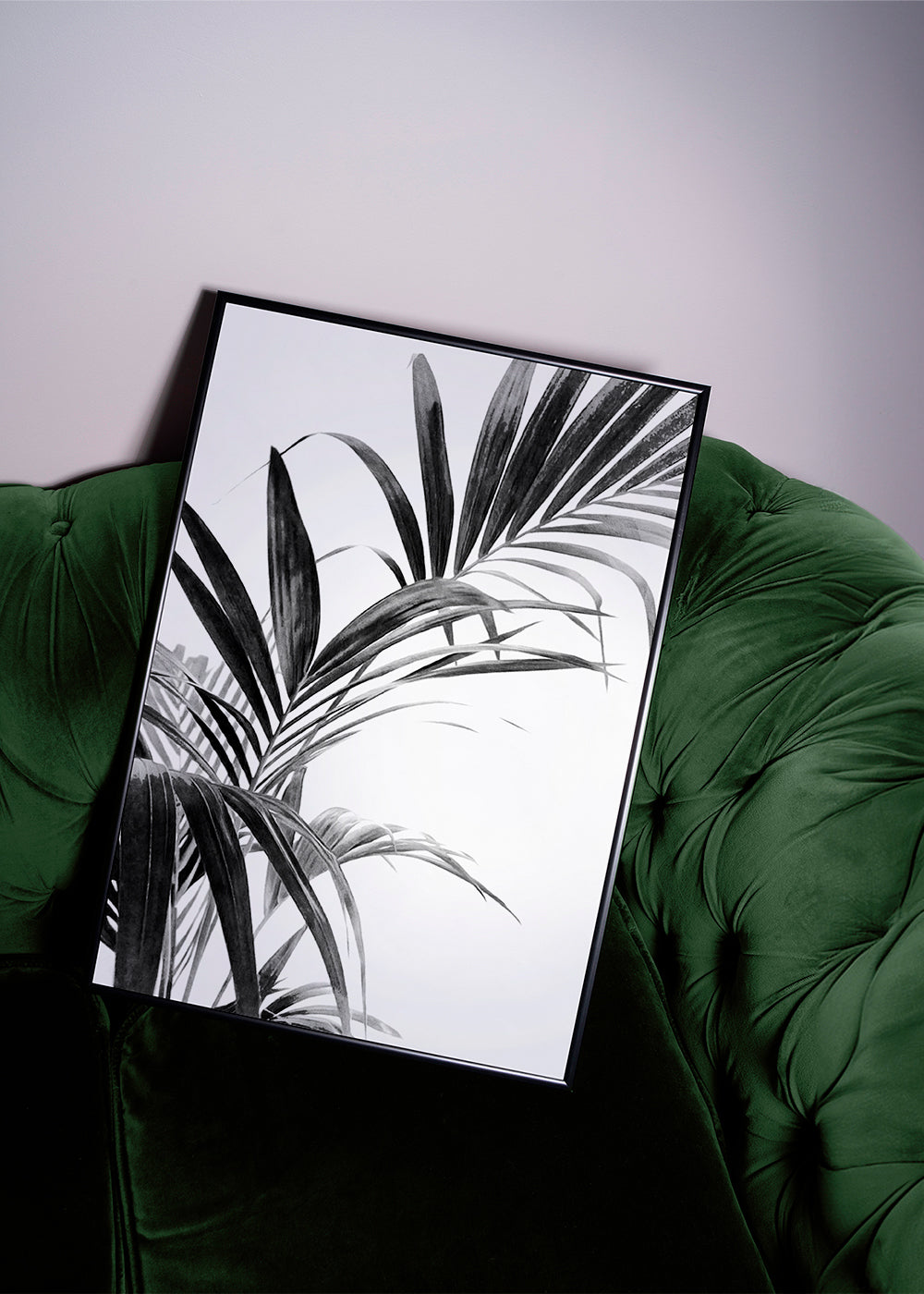 Botanisk poster: palmblad i svartvitt