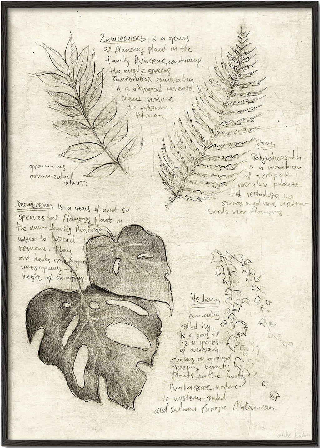 Botanisk poster med bladstudie