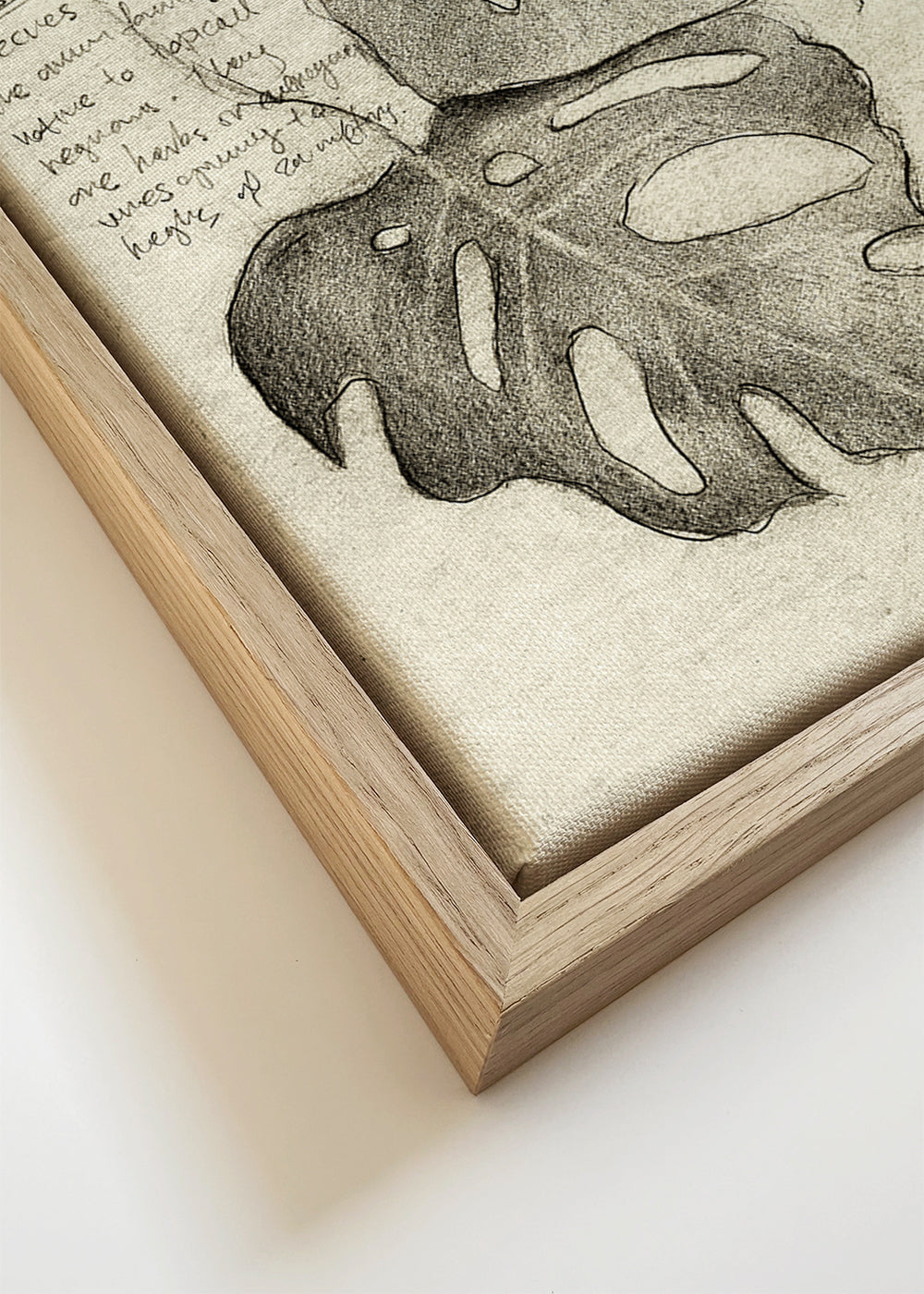 Botanisk poster med bladstudie
