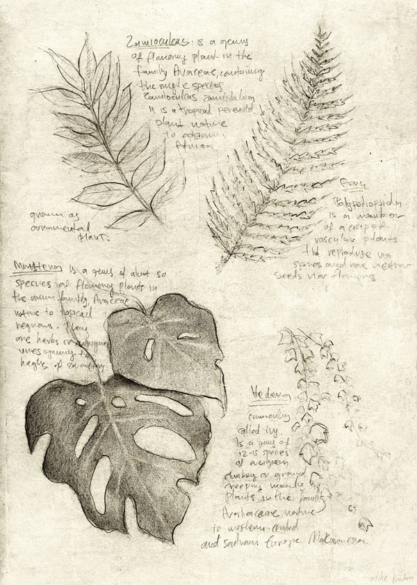 Botanisk poster med bladstudie