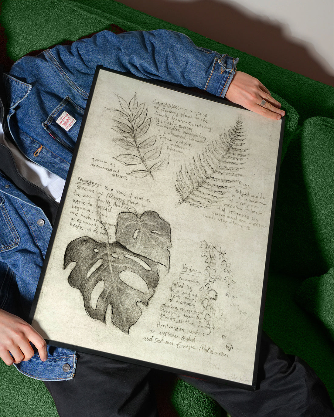 Plants - Framed poster detail