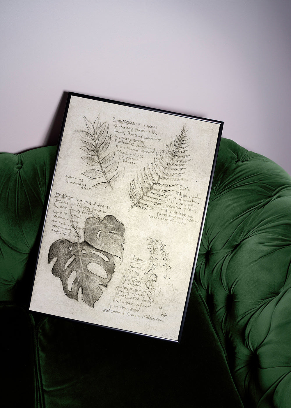 Botanisk poster med bladstudie