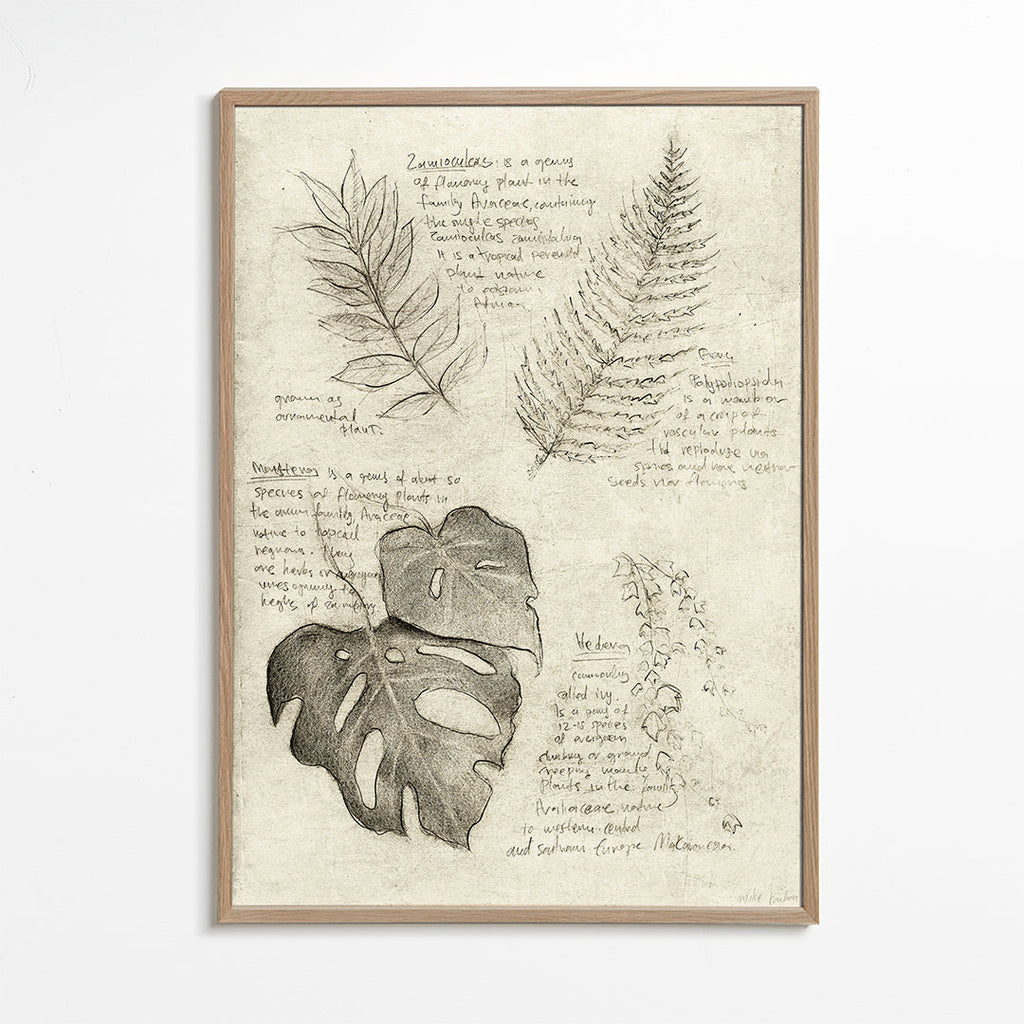 Botanisk poster med bladstudie