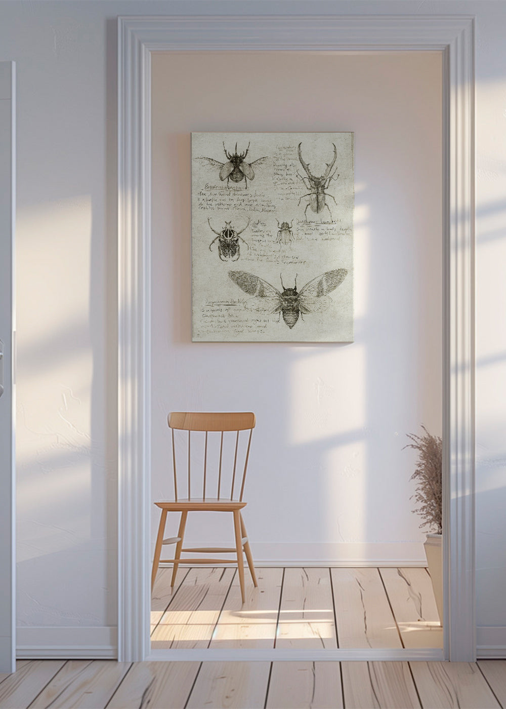 Vetenskaplig insektillustration på åldrat papper
