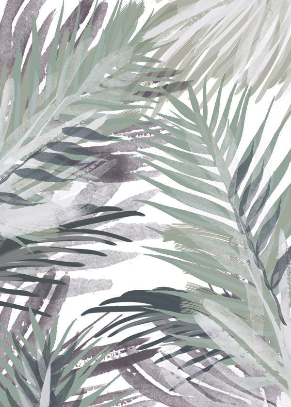 Botanisk poster med palmer i akvarell