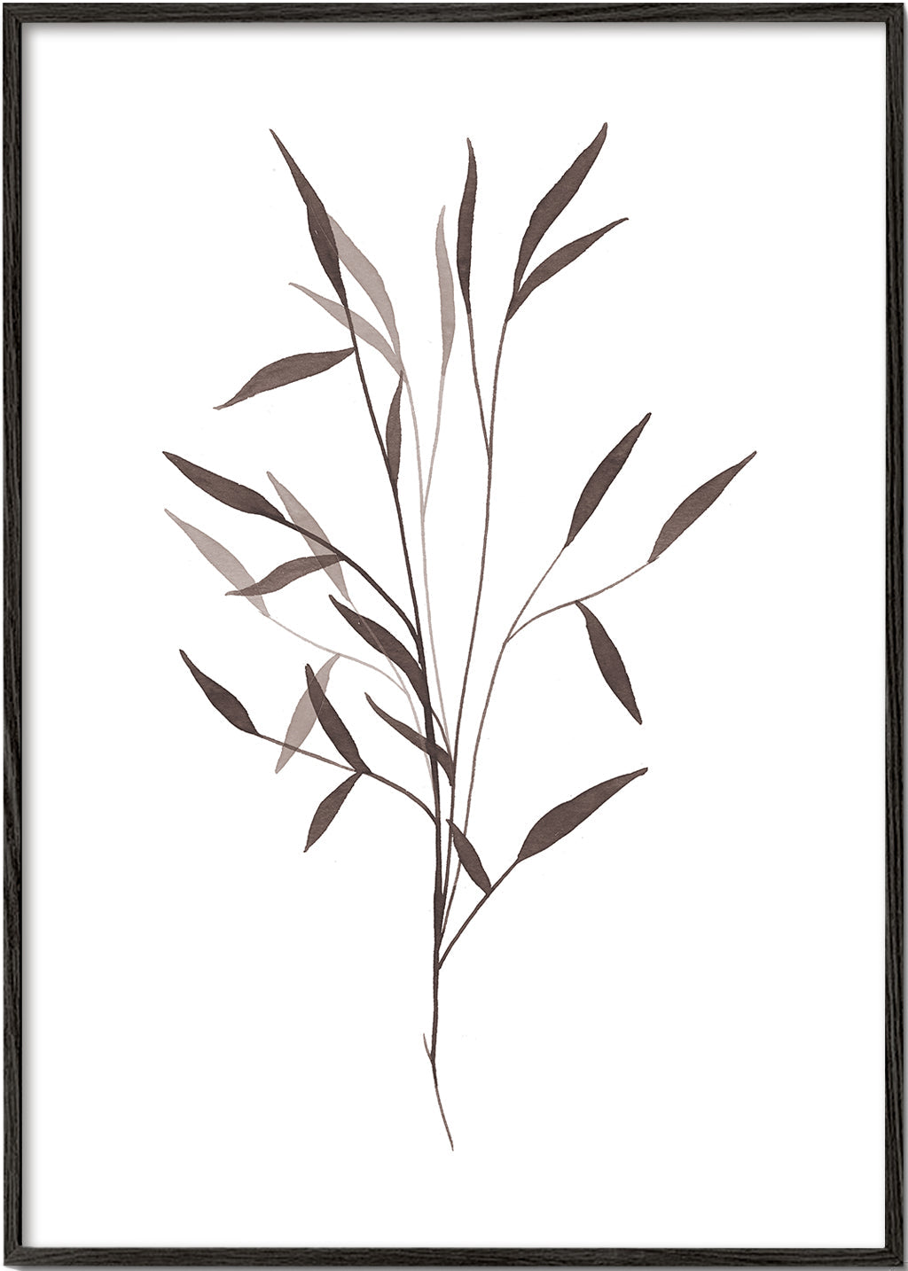 Botaniskt tryck smal kvist