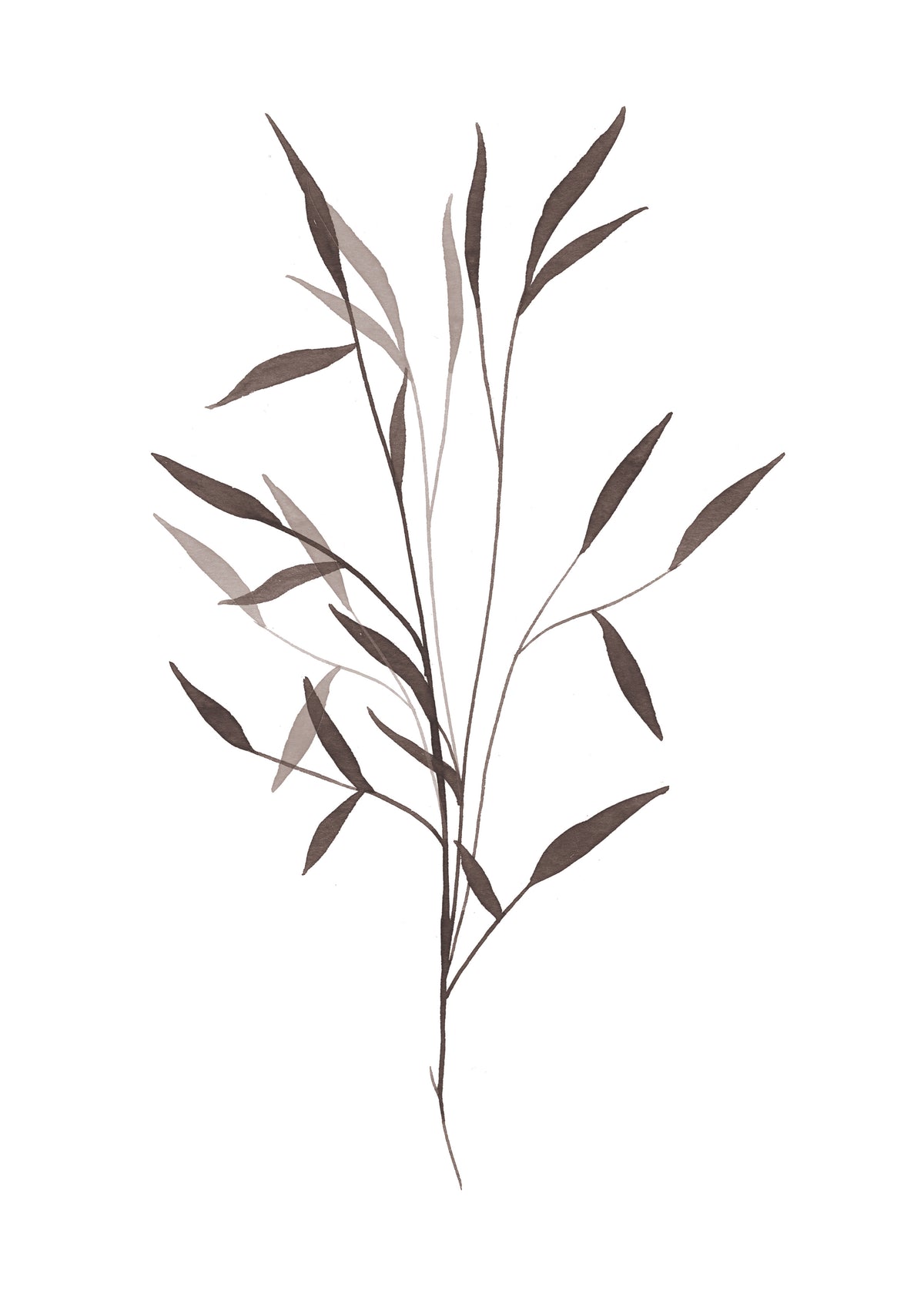 Black leaf - Unframed art print