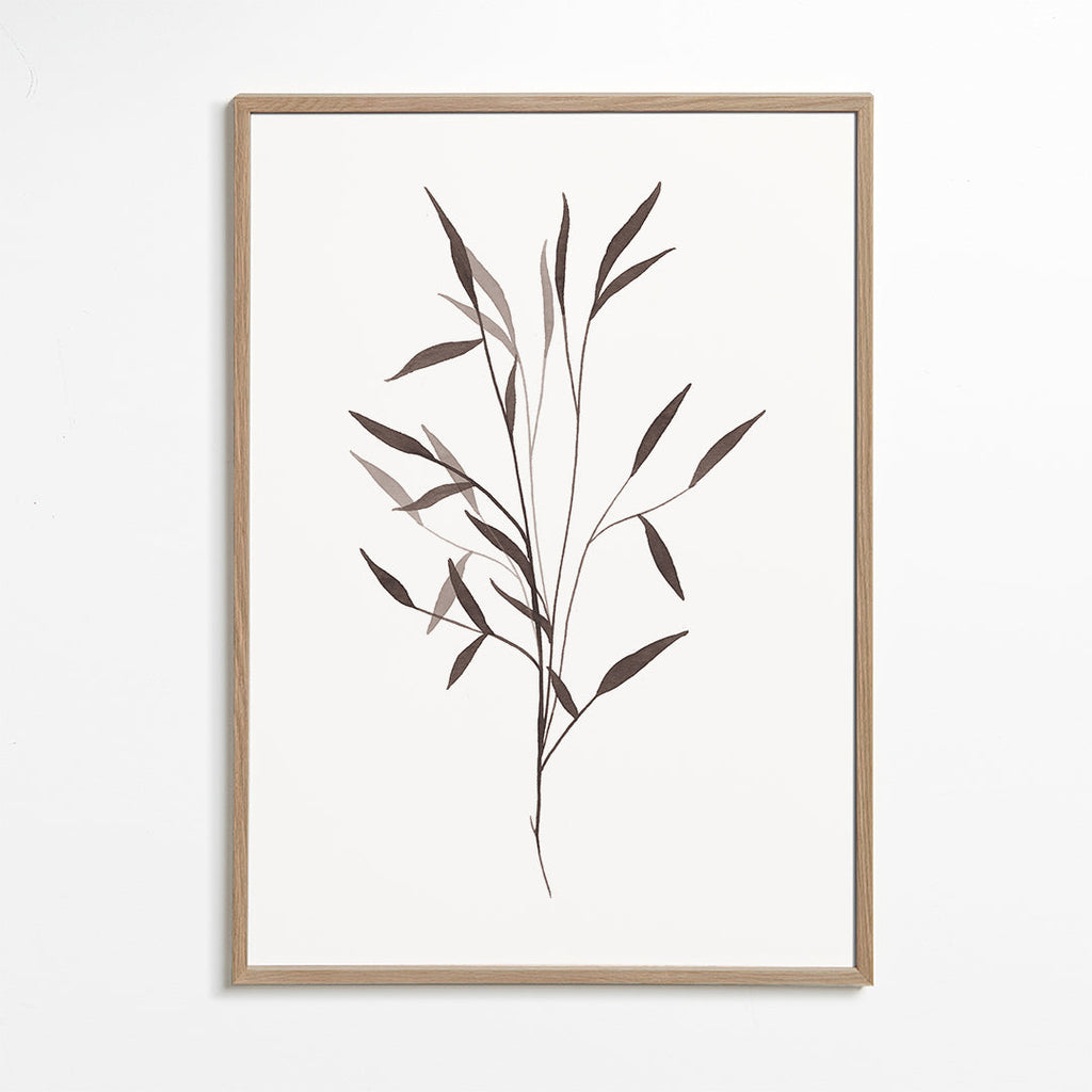 Botaniskt tryck smal kvist