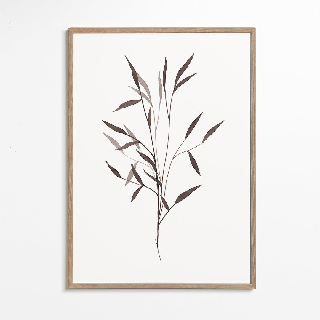 Botaniskt tryck smal kvist