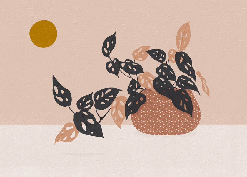 Botanisk poster med krukväxt