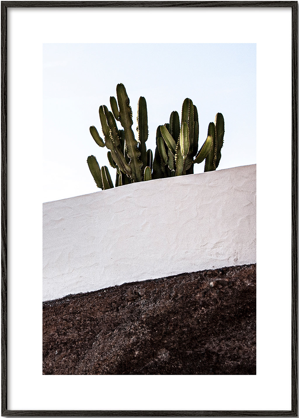 Botanisk poster vertikal med kaktus mot vägg