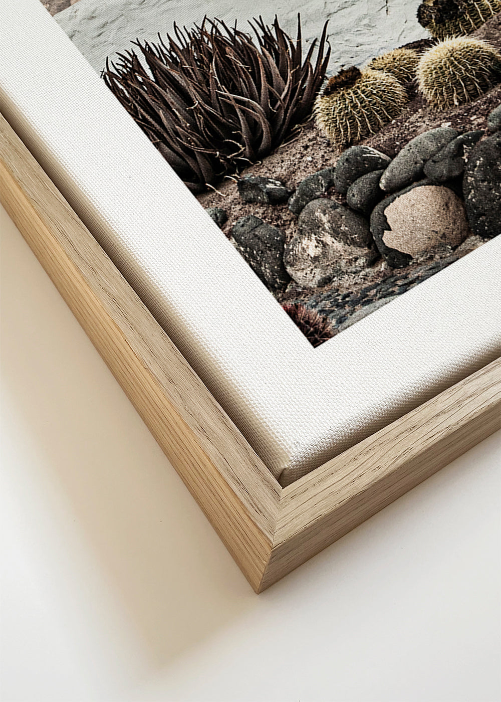 Botanisk poster med kaktus och vulkanrygg