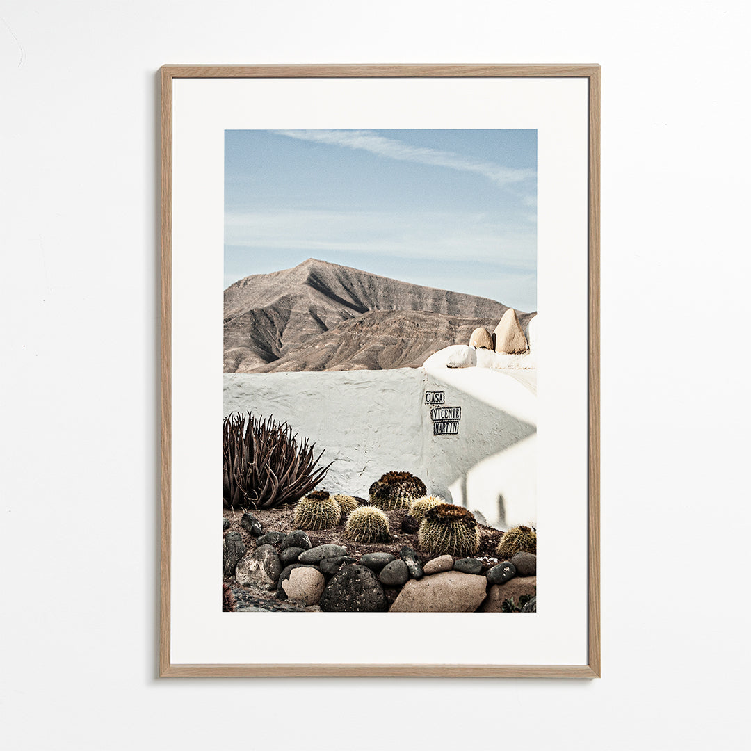 Botanisk poster med kaktus och vulkanrygg