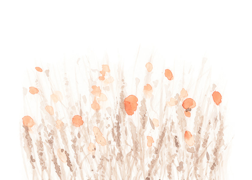 Botanisk poster med nätta torkade blommor