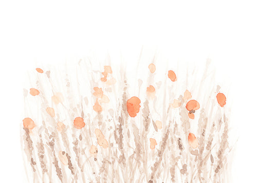 Botanisk poster med nätta torkade blommor