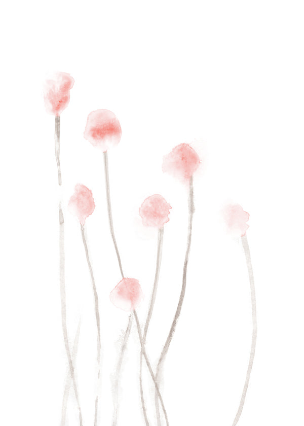 Botanisk poster med mjuka rosa blommor