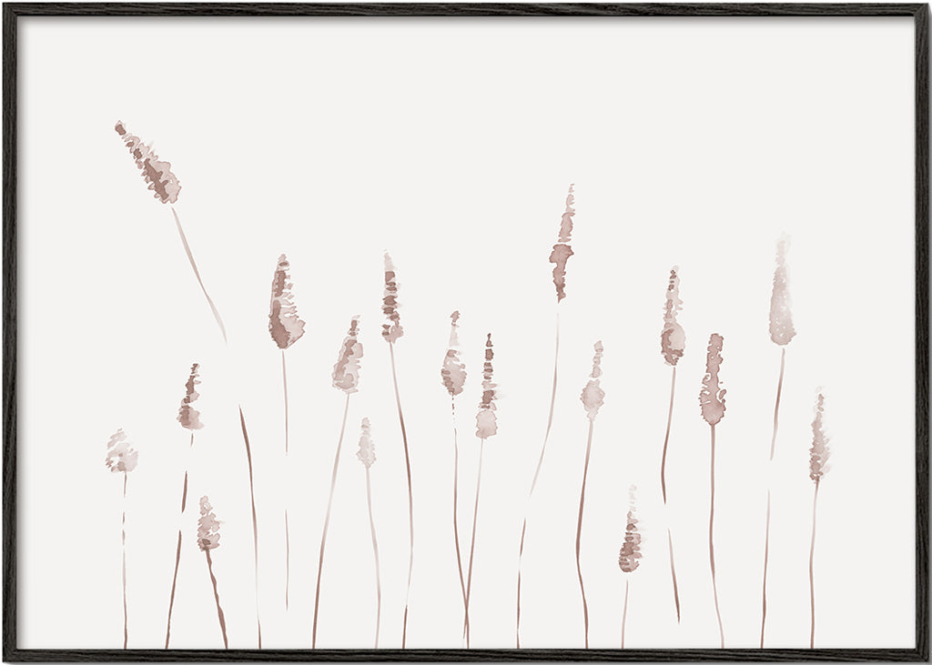 Botanisk poster med skira ax