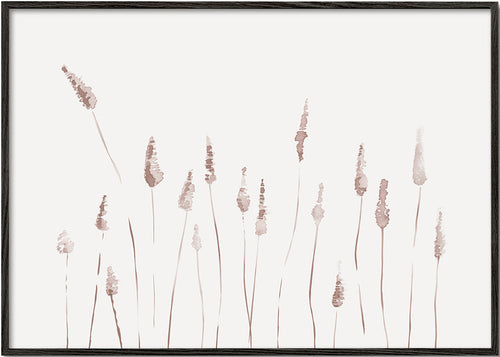 Botanisk poster med skira ax