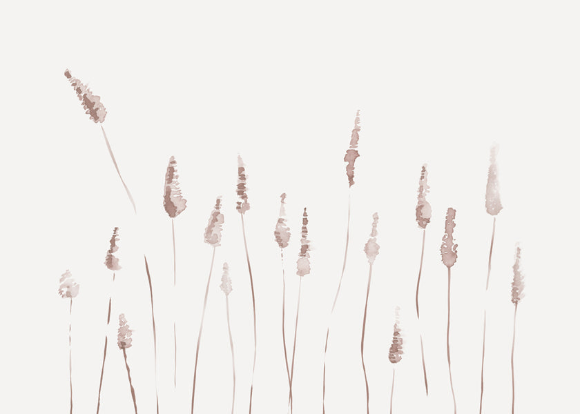 Botanisk poster med skira ax