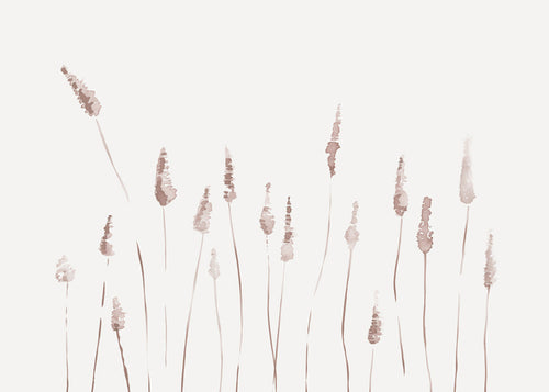 Botanisk poster med skira ax