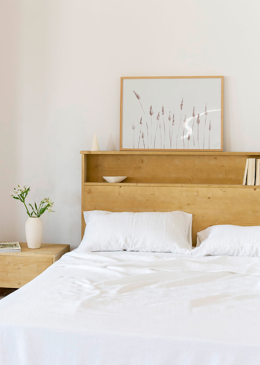 Botanisk poster med skira ax